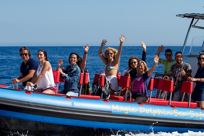 Magic Dolphin Sea Safaris - Inclusions and Exclusions