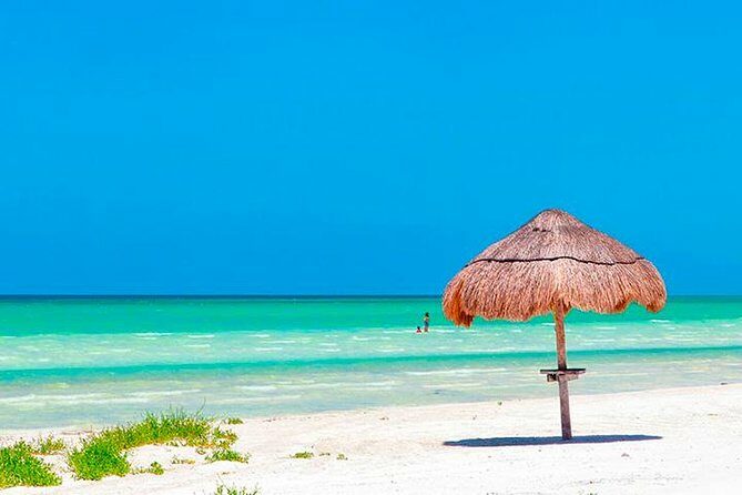 Magic Island Holbox! Experience From Cancun & Playa del Carmen - Isla Holbox — The Main Attraction