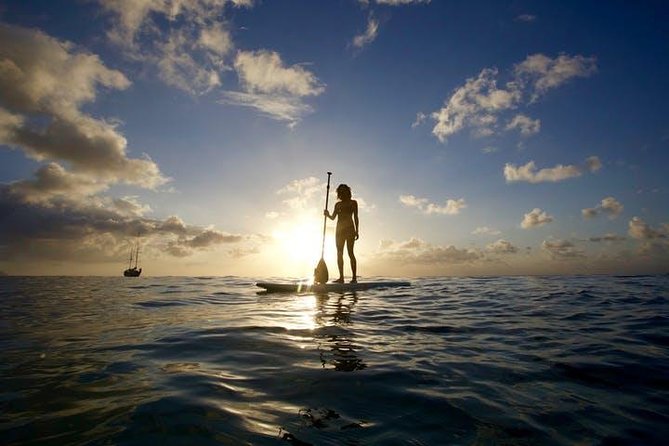 Magic Island Honolulu Stand Up Paddling - Meeting Point and Pickup