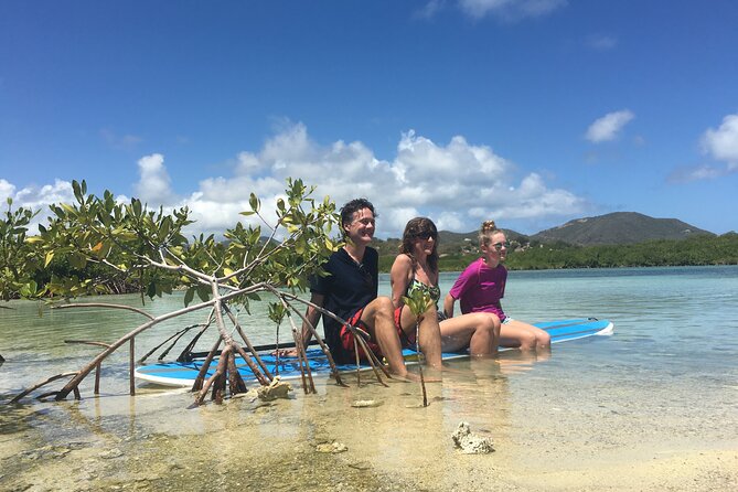 Magic Mangrove Paddle in Beef Island Lagoon - Meeting and End Points