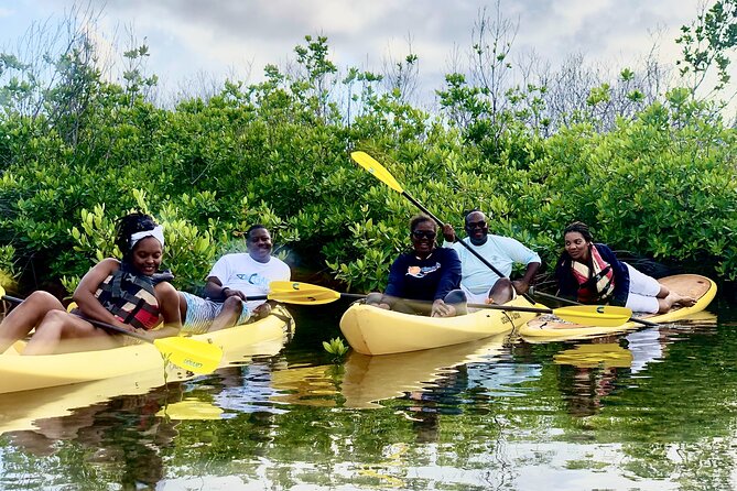 Magic Mangrove Paddle in Beef Island Lagoon - Paddling and Exploration