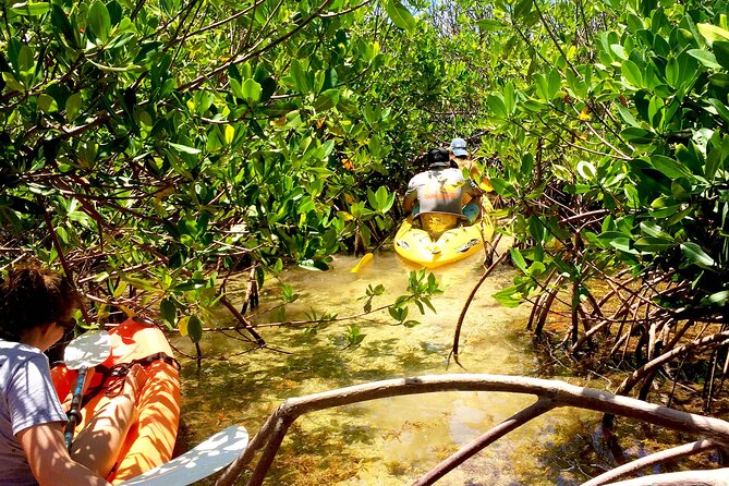 Magic Mangrove Paddle in Beef Island Lagoon - Coral Atoll Visit