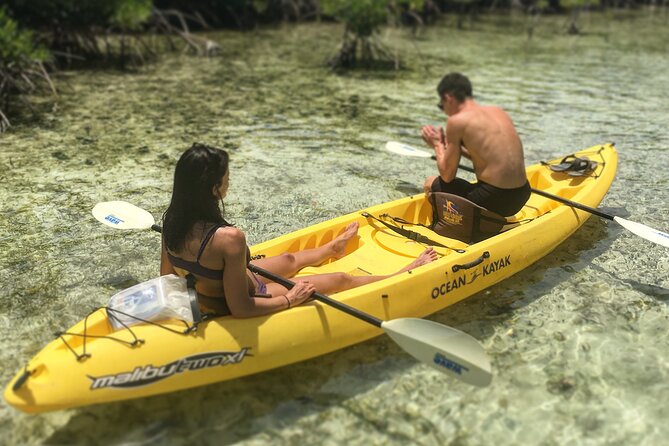 Magic Mangrove Paddle in Beef Island Lagoon - Customer Reviews