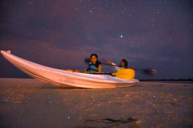Magic Night of Stargazing and Bioluminescence - Customer Experiences: Positive Feedback