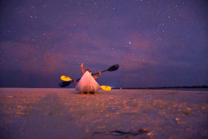 Magic Night of Stargazing and Bioluminescence - Recommendation and Key Highlights