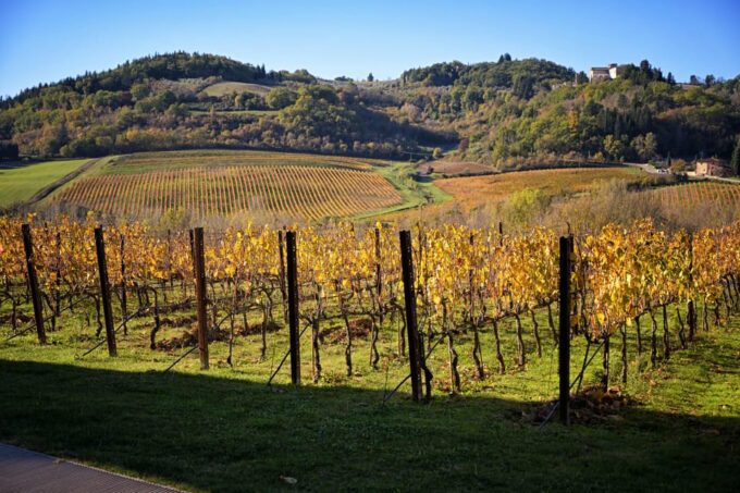 Magic Tuscany Tour - Tour Inclusions and Exclusions