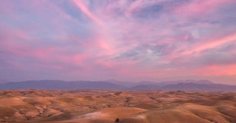 Magic & Wonder Dinner With Sunset in Agafay Desert - Customer Feedback and Ratings