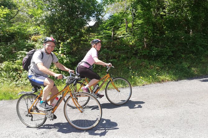 Magical Bike Tour Around Cong - Exploring Cong Forest