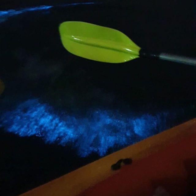 Magical Bioluminescence Plankton Tour - Pristine Sandy Beach Experience