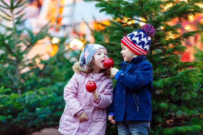 Magical Christmas Scenery in Munich - Walking Tour - Booking Considerations