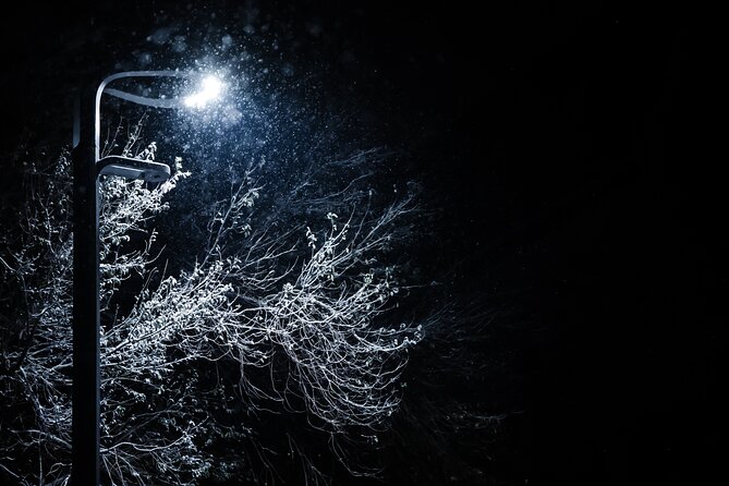 Magical Christmas Tour in Beautiful Reykjavik - Tour Details and Overview