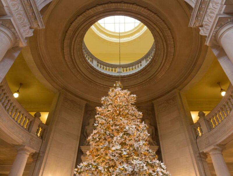 Magical Christmas Wonders: A San Francisco Stroll - Key Points