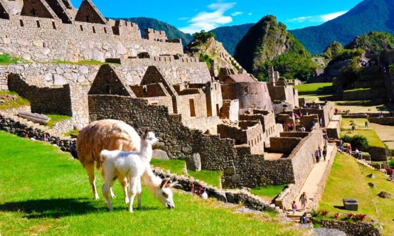 Magical Cusco - Machu Picchu 3 Days 2 Nights - Inclusions