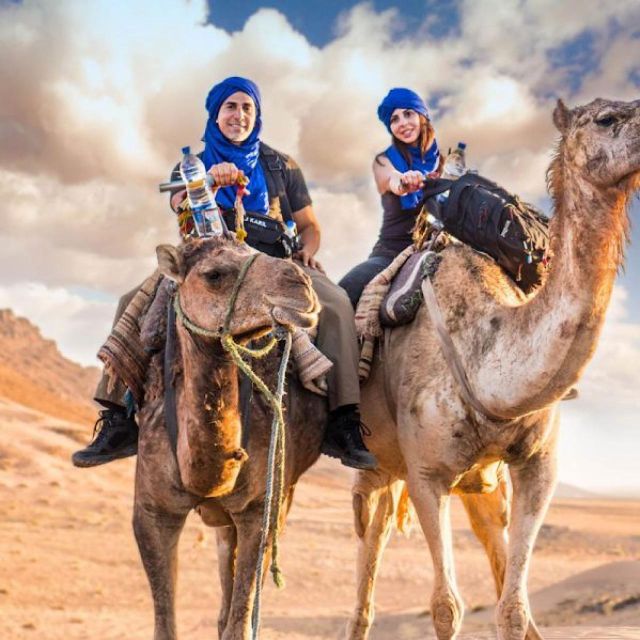Magical Dinner in Agafay Desert Under the Stars & Camel Rid - Dinner and Entertainment