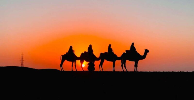 Magical Dinner in Desert Marrakech & Camel Ride at Sunset - Activity Highlights