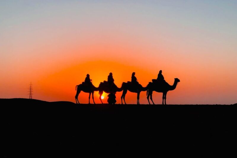 Magical Dinner in Desert Marrakech & Camel Ride at Sunset - Participant Information