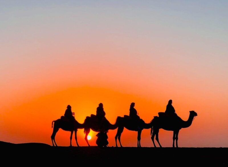 Magical Dinner in Desert Marrakech & Camel Ride at Sunset - Itinerary and Inclusions