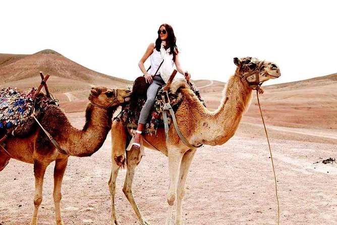 Magical Dinner on Sunset in Agafay Desert and Camel Ride - What to Expect