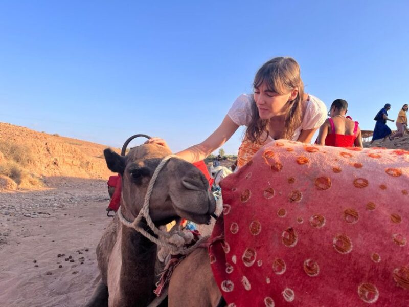 Magical Dinner Show and Camel Ride in Agafay Desert | Power Traveller