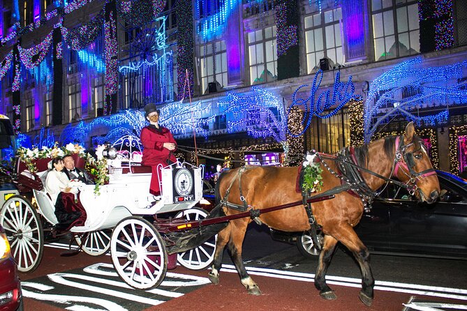 Magical Evening Horse-Drawn Carriage Through NYC (65 Min) - Warm and Clean Blankets