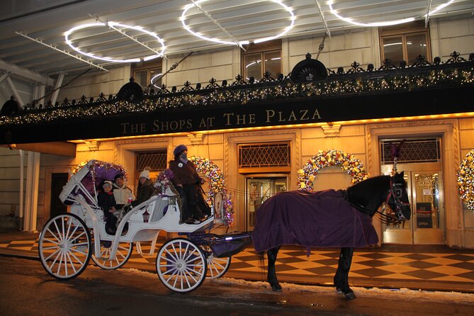 Magical Evening Horse-Drawn Carriage Through NYC (65 Min) - Meeting Location and Access