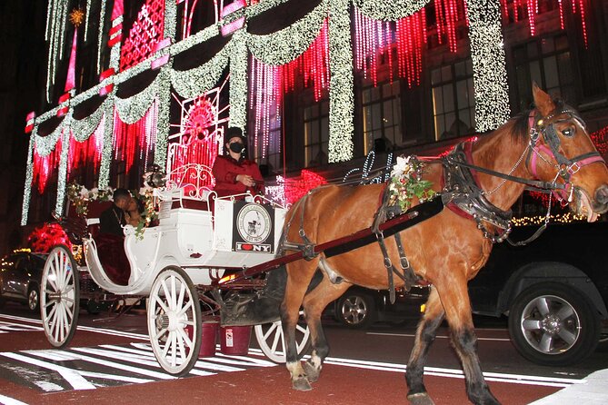 Magical Evening Horse-Drawn Carriage Through NYC (65 Min) - Celebrating Special Occasions