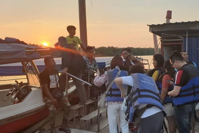 Magical Fireflies Tour - Inclusions and Pricing