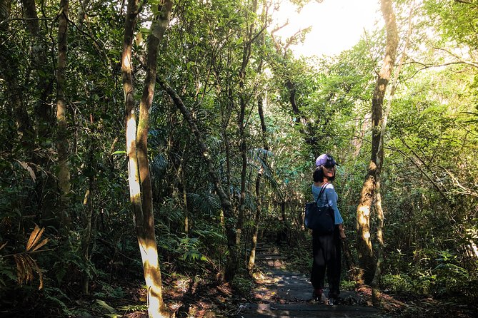 Magical Forest Trail(Departure With 4 Ppl.) - Good To Know