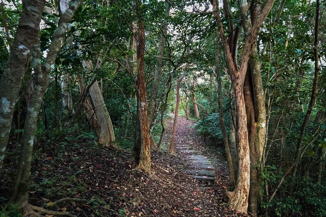 Magical Forest Trail(Departure With 4 Ppl.) - Pickup and Meeting Point