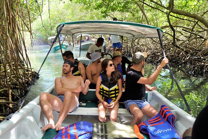 Magical Full-Day Tour Through the Mangroves and the Beach in Isla De Barú - Tour Overview and Details