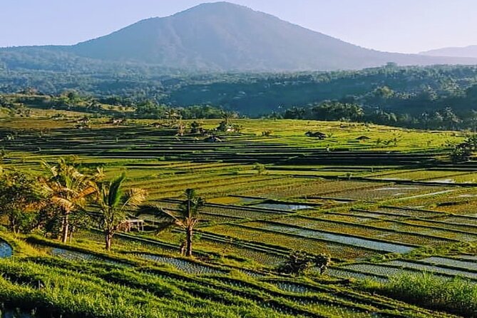 Magical Full Day Trip Jatiluwih Rice Terrace And Beratan Temple - Stunning Landscape Vistas