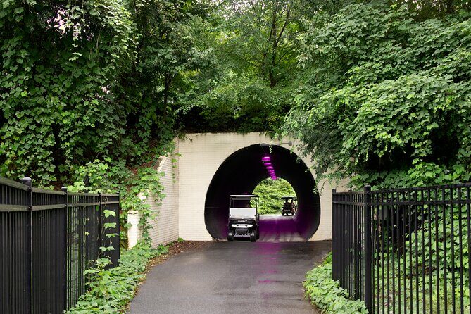 Magical Golf Cart Tour Through Peachtree City Trails - Authentic Insights from Travelers