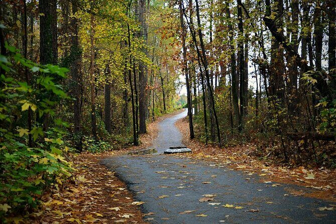 Magical Golf Cart Tour Through Peachtree City Trails - Final Thoughts