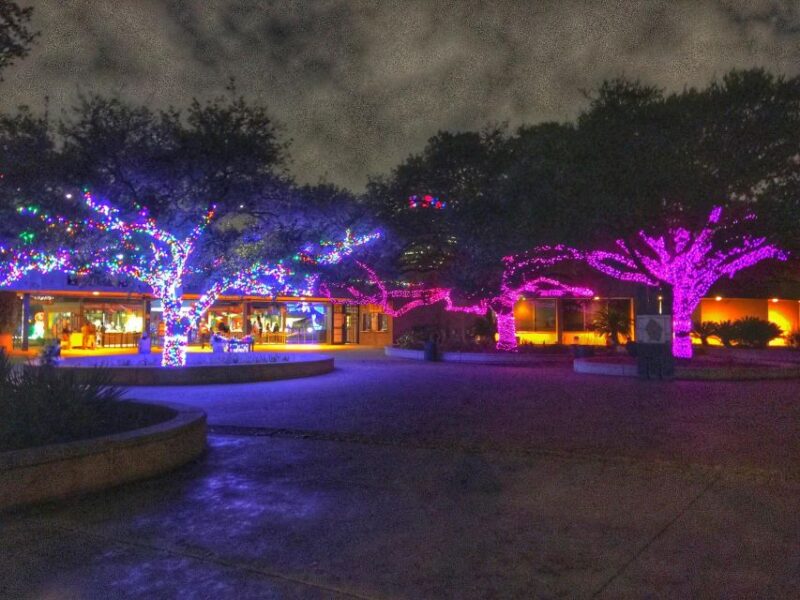 Magical Houston Holiday: Enchanting Christmas Adventure - Guided Experience