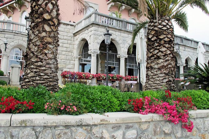 Magical Istria - Appreciate Vineyards and Olive Groves