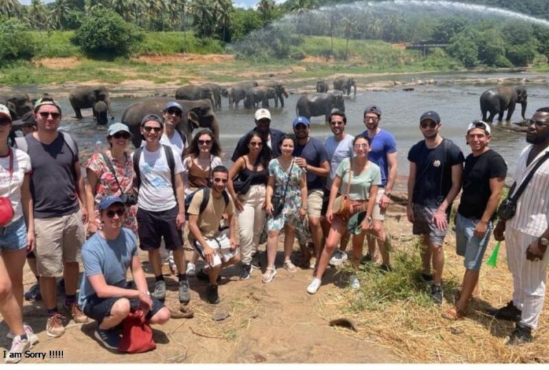 Magical Journey to Kandy & Pinnawala From Bentota/ Kalutara - Transportation and Pickup Details