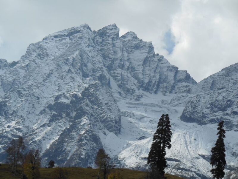 Magical Kashmir Tour - Accessibility and Booking