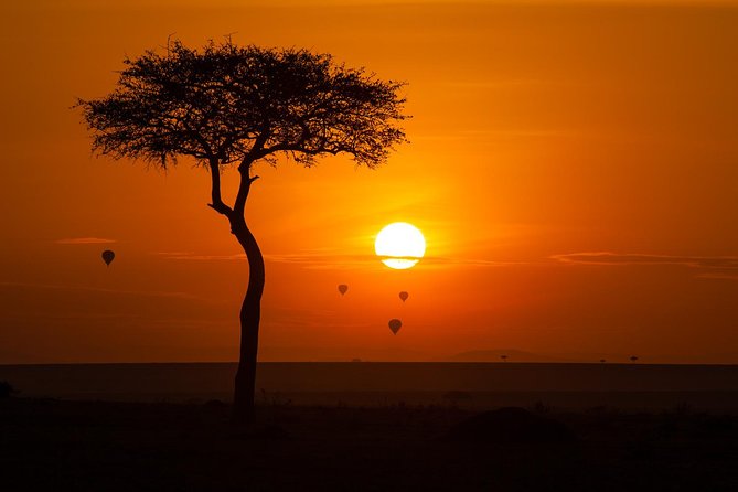 Magical Mara - Safari Experiences