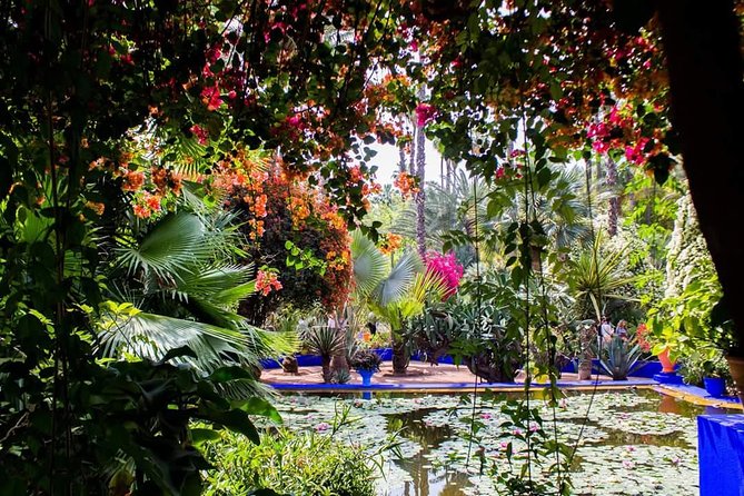 Magical Marrakesh 1 Day Trip From Agadir - Key Points