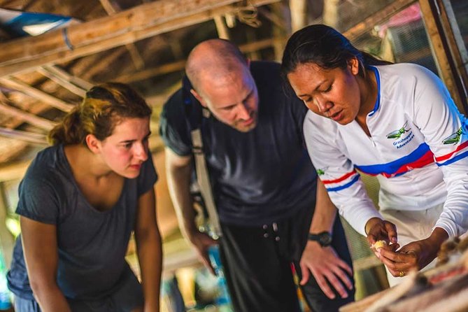 Magical Mekong River Island Biking Tours - Transportation and Accessibility
