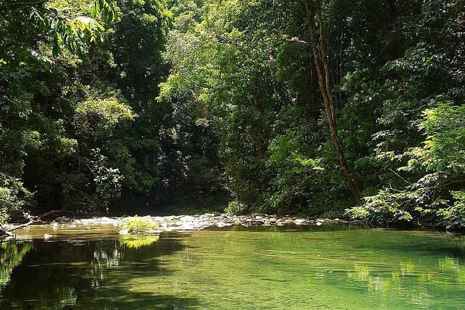 Magical Mermaid Pool and Caroni Swamp - Exploring the Mermaid Pool