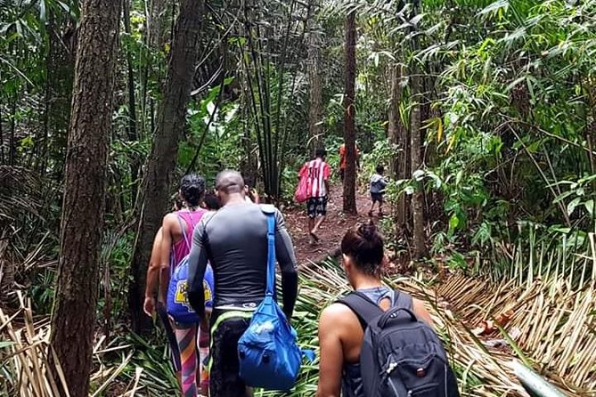 Magical Mermaid Pool and Caroni Swamp - Why Choose Sensational Tour