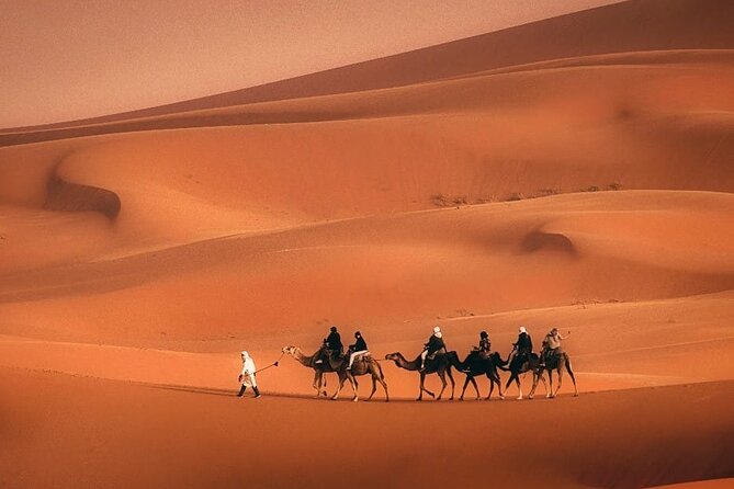 Magical Morocco 8 Days (190$ per Day ) - Accessibility and Availability