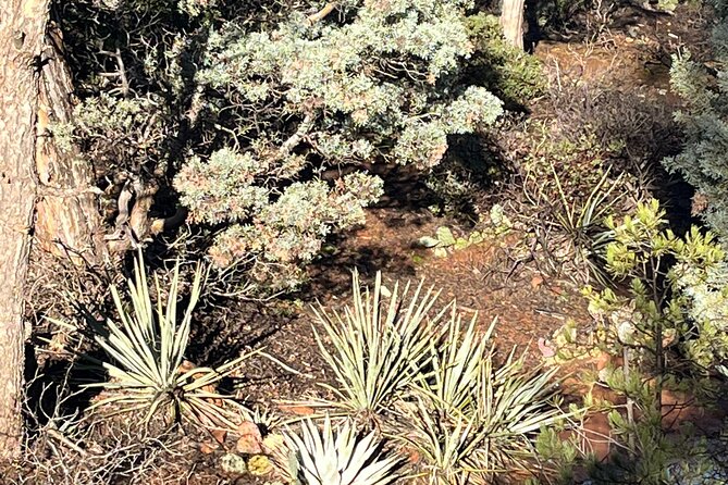 Magical Sedona Highlight Tour - Inclusions