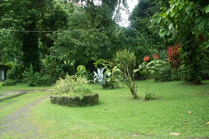 Magical Soufriere: A Tour of St Lucia - Important Information