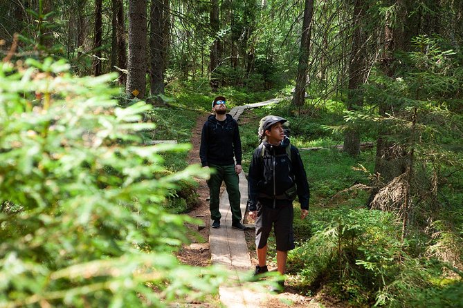 Magical Taiga Forest Hike With Lunch and Transportation - Included Experiences