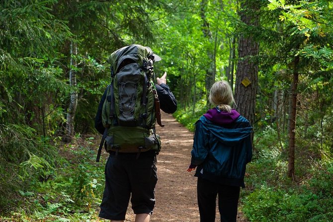 Magical Taiga Forest Hike With Lunch and Transportation - Participant Reviews