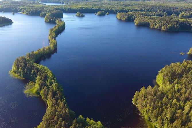 Magical Taiga Forest Hike With Lunch and Transportation - Transportation and Transfers