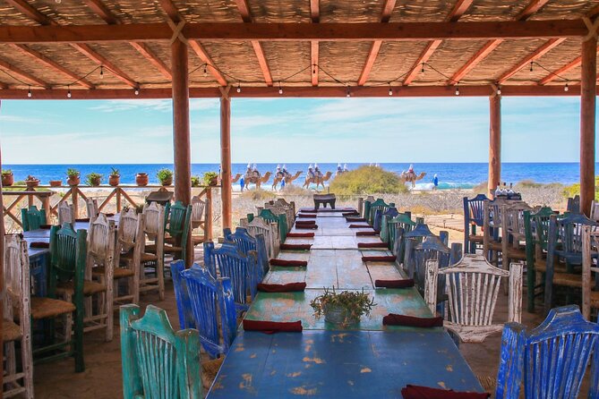 Magical Todos Santos Tour, Camel Ranch, Lunch & Tequila - Tour Details