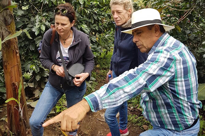 Magical Views of the Coffee Region - Cittaslow Three Towns - Itinerary and Activities